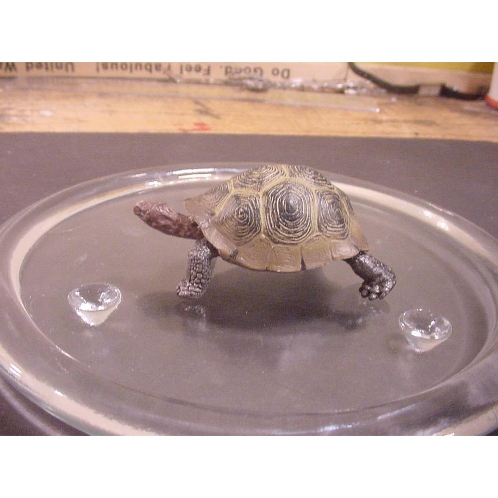 GIANT TORTOISE - Wild Safari Ltd Animal Figure